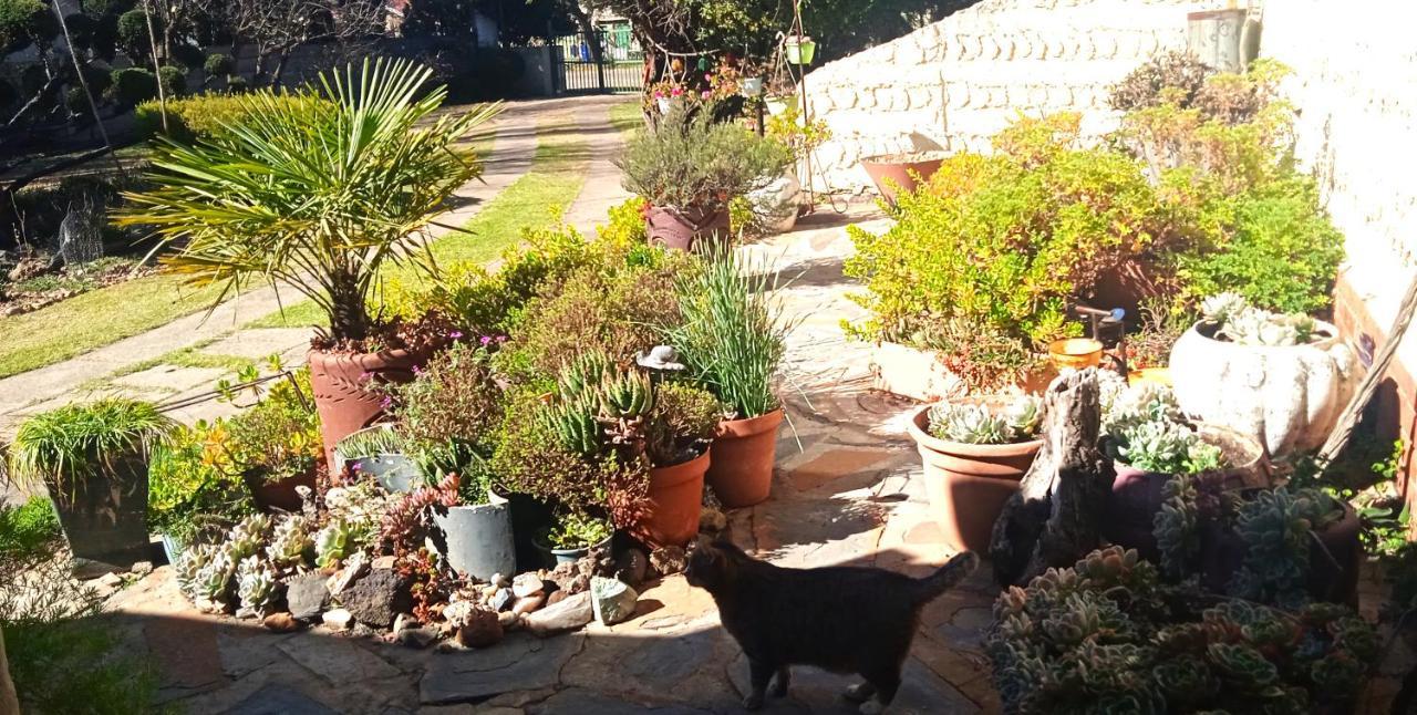 Rheola'S Guest Cottage Harrismith ภายนอก รูปภาพ